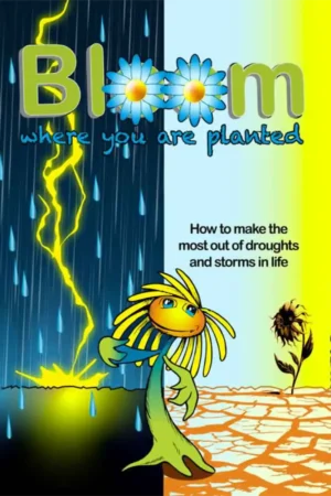 Bloom where you are planted